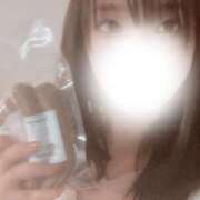 ヒメ日記 2025/04/08 13:32 投稿 らん お姉京都