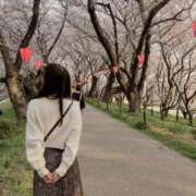 ヒメ日記 2025/04/09 18:03 投稿 らん お姉京都