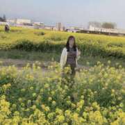 ヒメ日記 2025/04/10 07:32 投稿 らん お姉京都