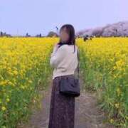 ヒメ日記 2025/04/12 21:16 投稿 らん お姉京都