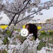 ヒメ日記 2025/04/14 12:15 投稿 らん お姉京都