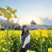 ヒメ日記 2025/04/15 07:13 投稿 らん お姉京都