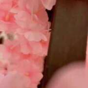 ヒメ日記 2025/04/17 17:02 投稿 らん お姉京都