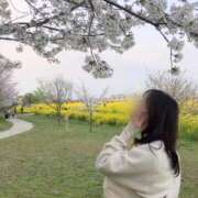 ヒメ日記 2025/04/19 23:32 投稿 らん お姉京都