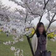 ヒメ日記 2025/04/23 08:52 投稿 らん お姉京都