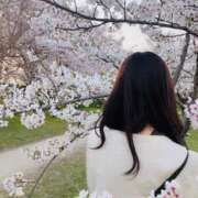 ヒメ日記 2025/04/25 06:14 投稿 らん お姉京都