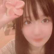 ヒメ日記 2025/04/29 09:22 投稿 らん お姉京都