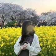 ヒメ日記 2025/05/05 09:05 投稿 らん お姉京都