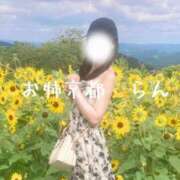 ヒメ日記 2025/07/31 21:05 投稿 らん お姉京都