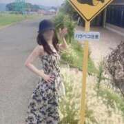 ヒメ日記 2025/09/01 06:25 投稿 らん お姉京都