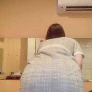 ヒメ日記 2025/09/29 06:36 投稿 らん お姉京都