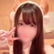 ヒメ日記 2025/10/31 16:52 投稿 らん お姉京都