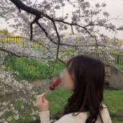 ヒメ日記 2025/11/22 20:22 投稿 らん お姉京都