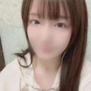 ヒメ日記 2025/12/02 07:42 投稿 らん お姉京都