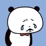 ヒメ日記 2026/02/01 09:43 投稿 らん お姉京都