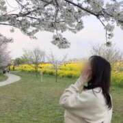 ヒメ日記 2026/02/22 14:52 投稿 らん お姉京都