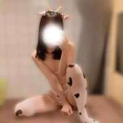 ヒメ日記 2026/02/23 11:52 投稿 らん お姉京都