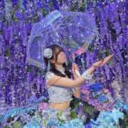 ヒメ日記 2026/03/18 15:02 投稿 らん お姉京都