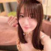 ヒメ日記 2026/06/27 06:02 投稿 らん お姉京都