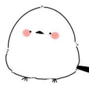 ヒメ日記 2025/04/09 19:41 投稿 てん 愛知弥富ちゃんこ