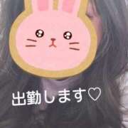 ヒメ日記 2025/05/24 21:01 投稿 てん 愛知弥富ちゃんこ