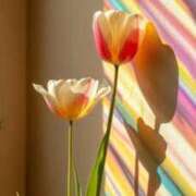 ヒメ日記 2025/09/27 19:39 投稿 てん 愛知弥富ちゃんこ