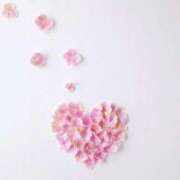 ヒメ日記 2026/02/19 16:51 投稿 てん 愛知弥富ちゃんこ