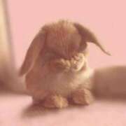 ヒメ日記 2026/02/19 17:14 投稿 てん 愛知弥富ちゃんこ