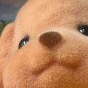 ヒメ日記 2026/03/06 20:11 投稿 てん 愛知弥富ちゃんこ