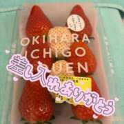 ヒメ日記 2026/01/20 15:55 投稿 れんか 素人系イメージSOAP 彼女感 宇都宮本館