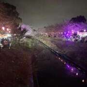 ヒメ日記 2026/04/02 15:55 投稿 れんか 素人系イメージSOAP 彼女感 宇都宮本館