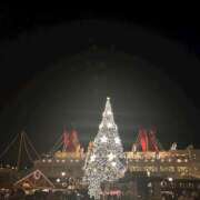 ヒメ日記 2024/12/09 18:12 投稿 むく Vivienne池袋西口店