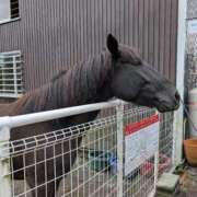 ヒメ日記 2025/11/01 17:17 投稿 音羽　ちさと エテルナ彦根