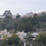 ヒメ日記 2026/04/05 13:39 投稿 音羽　ちさと エテルナ彦根