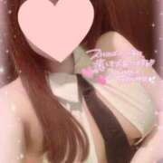 れの はじめまして🤍 赤坂プリンセス
