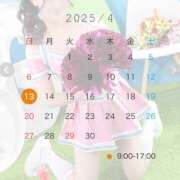 ヒメ日記 2025/04/08 13:41 投稿 みちる ビギナーズ和歌山