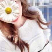 ヒメ日記 2026/03/16 20:58 投稿 めい モアグループ川越人妻花壇