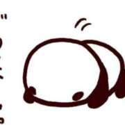 ヒメ日記 2026/04/14 08:33 投稿 めい モアグループ川越人妻花壇