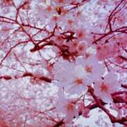 ヒメ日記 2025/03/31 08:18 投稿 ななみ 人妻ちゃんねる