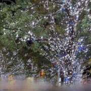 ヒメ日記 2024/12/21 07:32 投稿 あゆみ スイカ