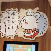 ヒメ日記 2025/02/09 07:30 投稿 あゆみ スイカ