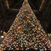 ヒメ日記 2025/03/20 09:33 投稿 あゆみ スイカ