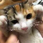 ヒメ日記 2024/12/15 19:42 投稿 一ノ瀬 葵 昼妻夜 滋賀店