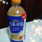 ヒメ日記 2025/03/10 13:03 投稿 一ノ瀬 葵 昼妻夜 滋賀店