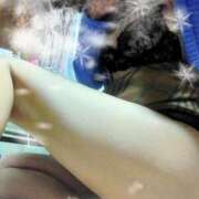 ヒメ日記 2025/03/29 10:33 投稿 一ノ瀬 葵 昼妻夜 滋賀店