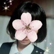 ヒメ日記 2025/04/05 04:18 投稿 一ノ瀬 葵 昼妻夜 滋賀店