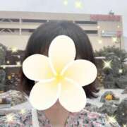 ヒメ日記 2025/05/11 17:18 投稿 一ノ瀬 葵 昼妻夜 滋賀店