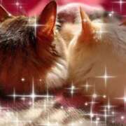 ヒメ日記 2025/05/21 21:42 投稿 一ノ瀬 葵 昼妻夜 滋賀店