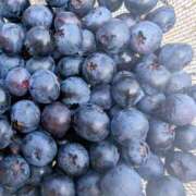 ヒメ日記 2025/07/19 23:00 投稿 一ノ瀬 葵 昼妻夜 滋賀店