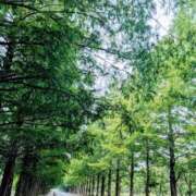 ヒメ日記 2025/07/23 12:33 投稿 一ノ瀬 葵 昼妻夜 滋賀店